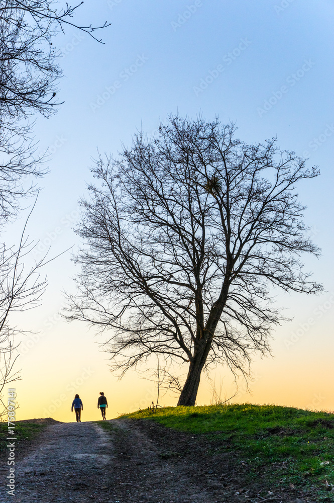deux promeneurs sur un chemin le soir deux promeneurs sur un chemin le soir