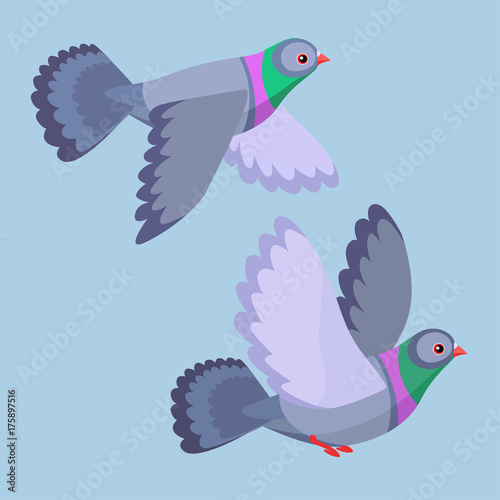 Vector illustration of two pigeons flying