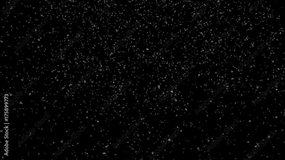 Snow Falling Slow - Wide Shot - Seamless Loop - Alpha Channel