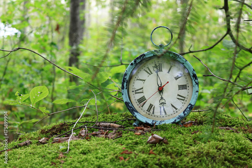 Antique alarm clock on a moss covered rock in a summer green forest