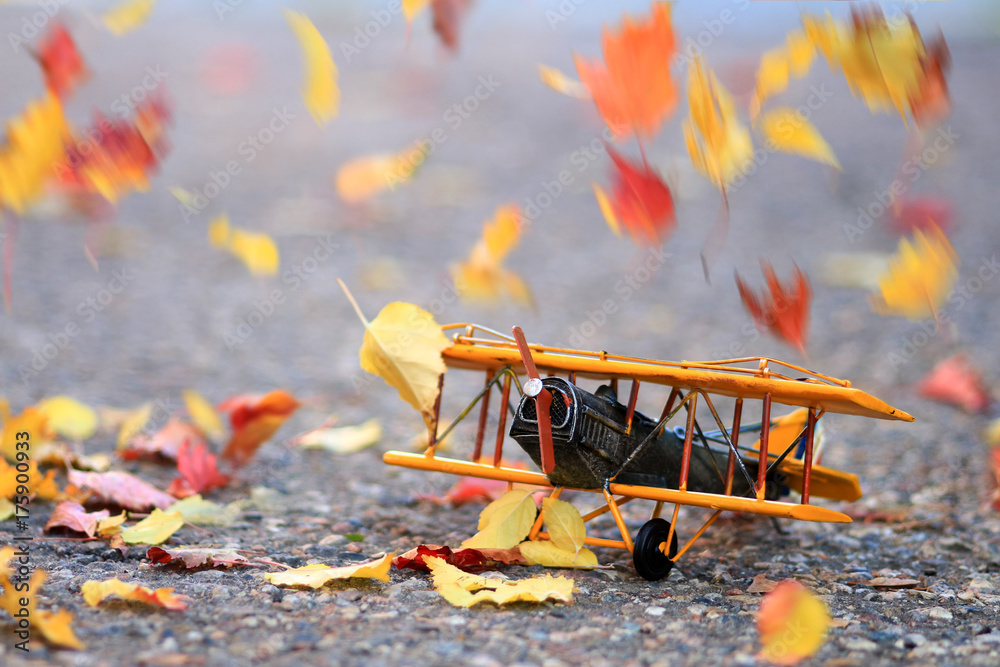 Fototapeta premium Autumn leaves blowing in the wind across a yellow model airplane