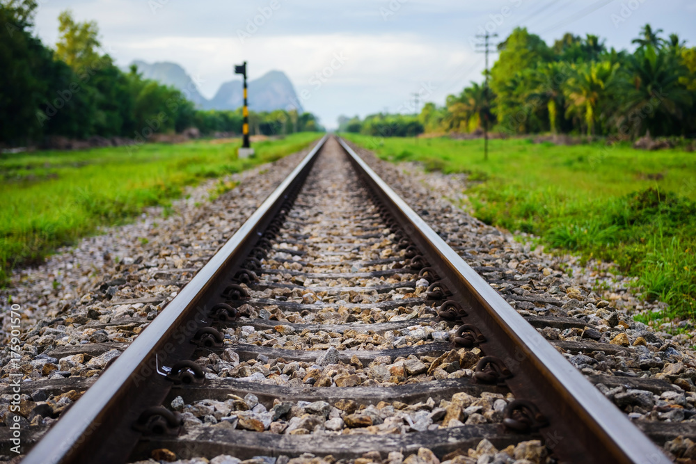 Fototapeta premium single straight railway with natural view