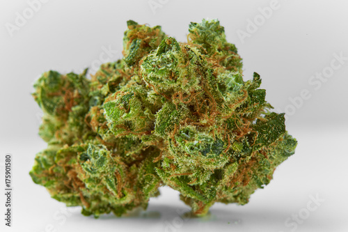 Close up of prescription medical marijuana Banana Cookies flower on white background
