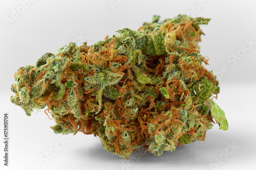 Close up of prescription medical marijuana flower on white background