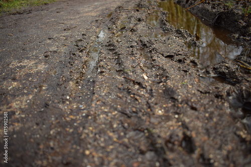 Wallpaper Mural mud Torontodigital.ca