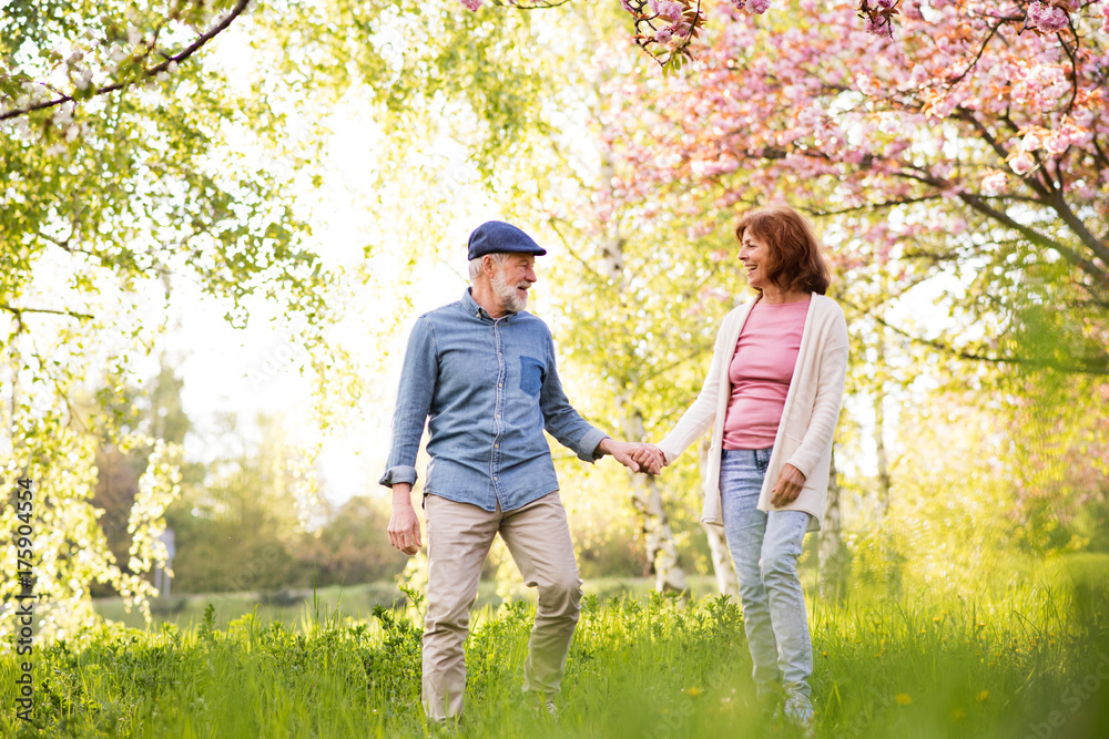 Fototapeta premium Beautiful senior couple in love outside in spring nature.