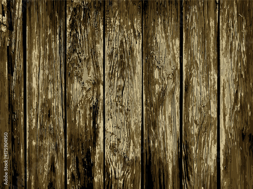 Tree texture. Background. Vector illustration.