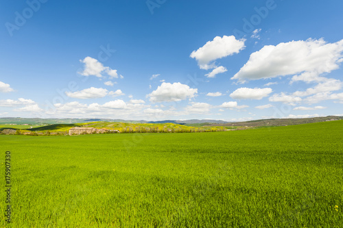 Italian landscape with meadows