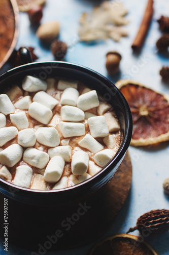 homemade cocoa with marshmallows, spices and pumpkin