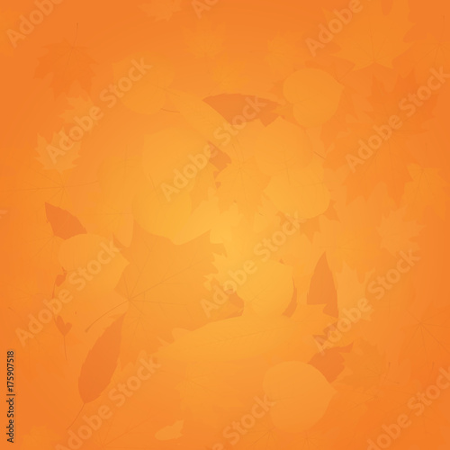 Abstract nature background. Scattered leaves. Autumn colors