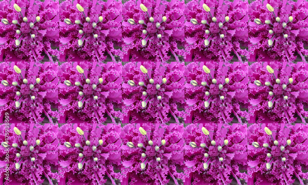 collage, background with a texture of flowers in a repeating square
