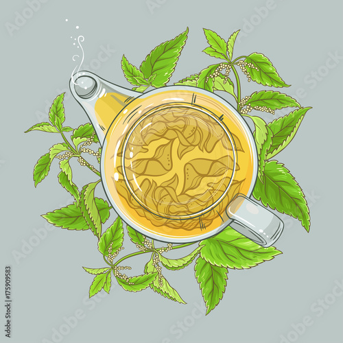 nettle tea illustration