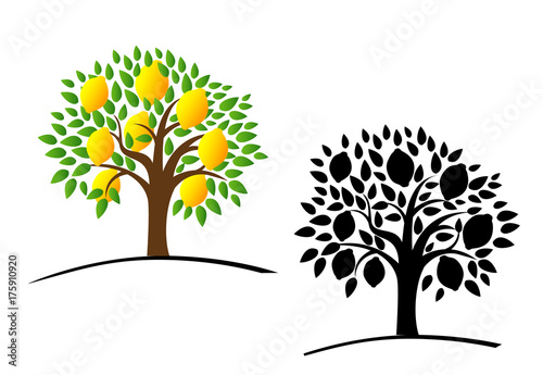 Lemon tree with green leaves. Vector illustration of a tree with ripe lemons. Color and black and white tree. Flat style. 