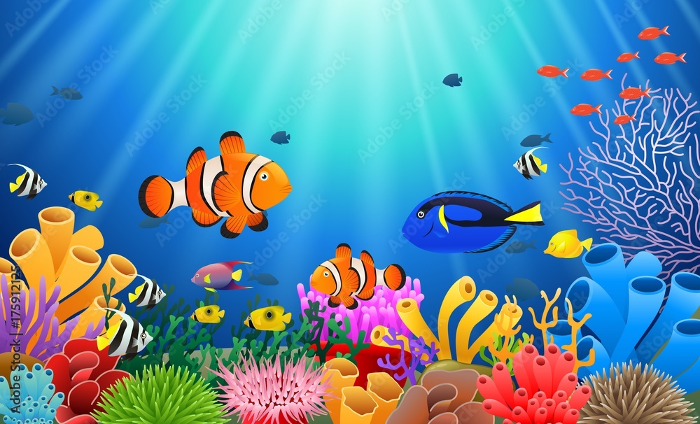 Fototapeta premium Ryba klaun pod morzem. Ilustracji wektorowych