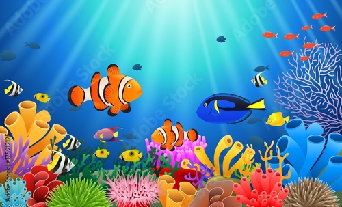 Clown fish under the sea. Vector illustration