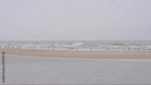 Strand der Nordseeküste mit zahlreichen Möwen an einem kalten, windigen und regnerischen Herbsttag mit grauem Himmel
