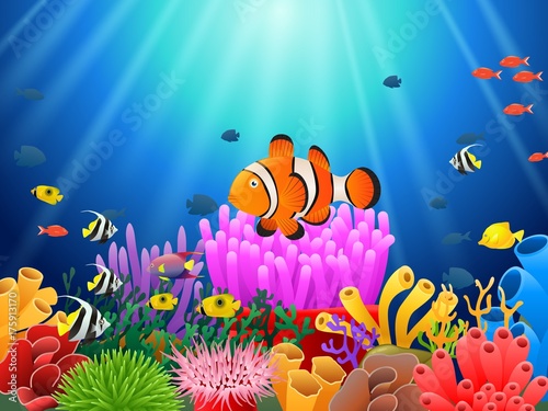 Clown fish under the sea. Vector illustration