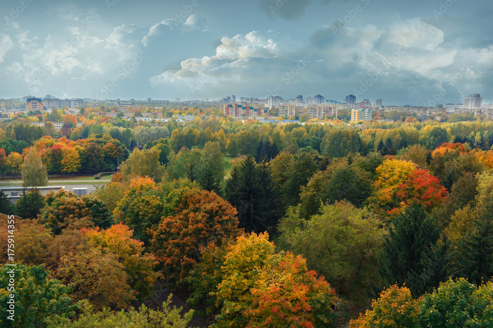 Autumn trees with multicolored foliage on a background of city houses top view in the autumn afternoon concept of nature and city