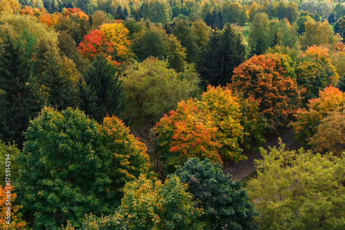 Autumn trees with multicolored foliage on a background of city houses top view in the autumn afternoon concept of nature and city