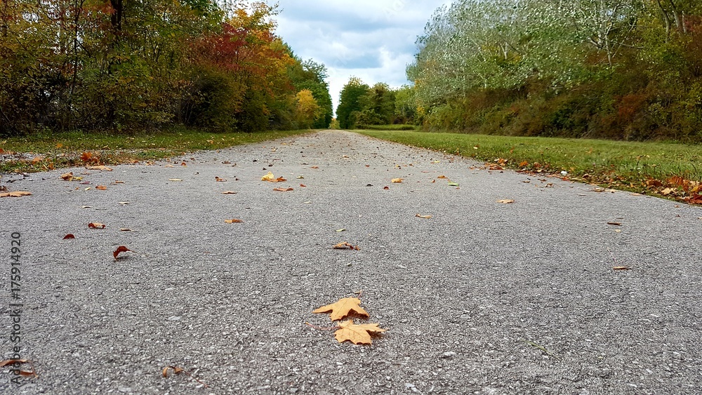 Obraz premium Weg in der Herbstzeit
