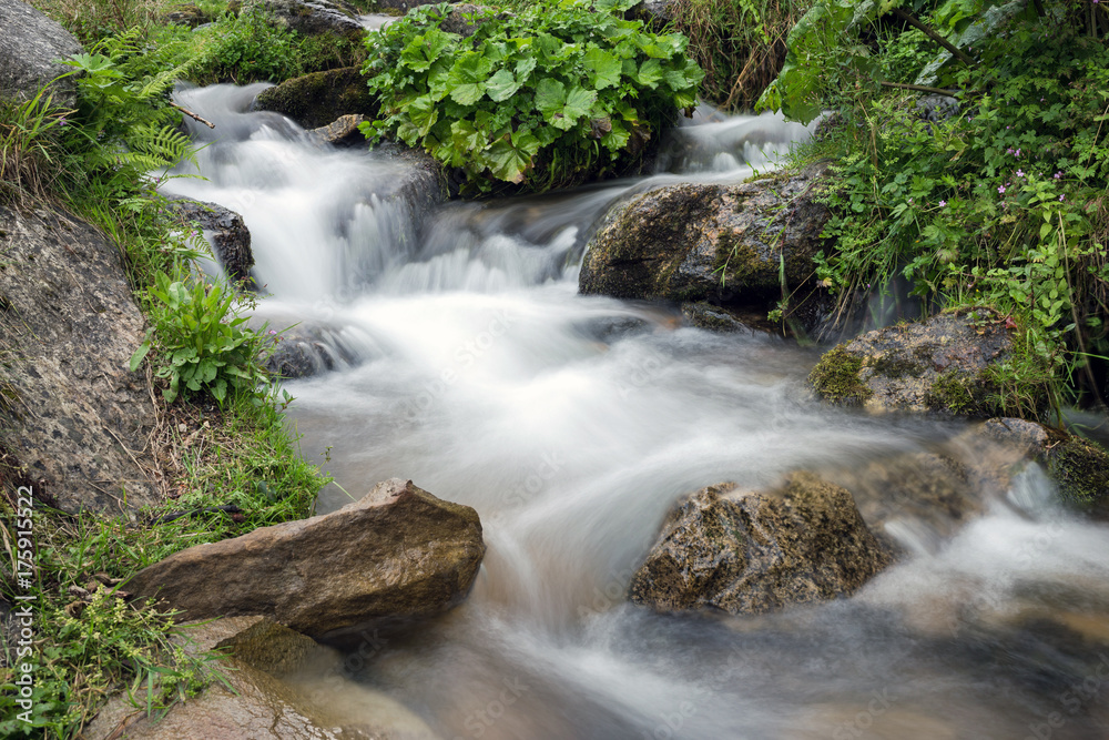 Fototapeta premium Mountain stream with stones with clear water