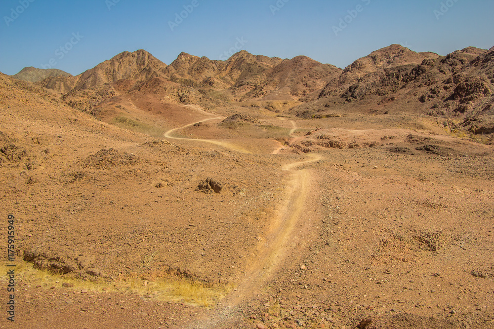 Landscape Landscape
