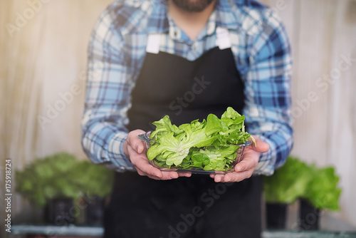 bearded man in an apron and gloves holds a bowl of fresh green salad