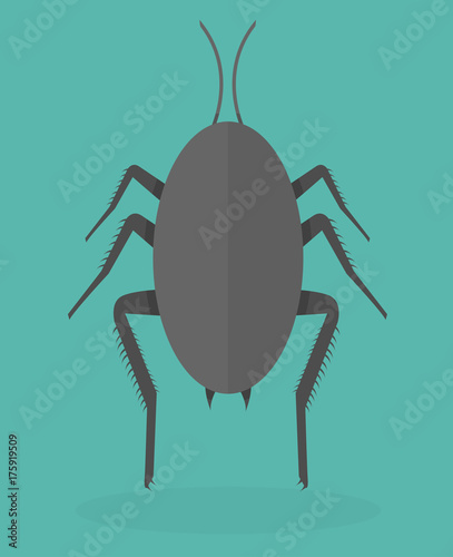 Cockroach icon