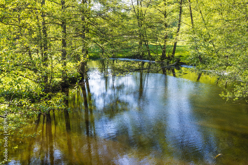 small creek hafenlohr flows through the dense wild forest