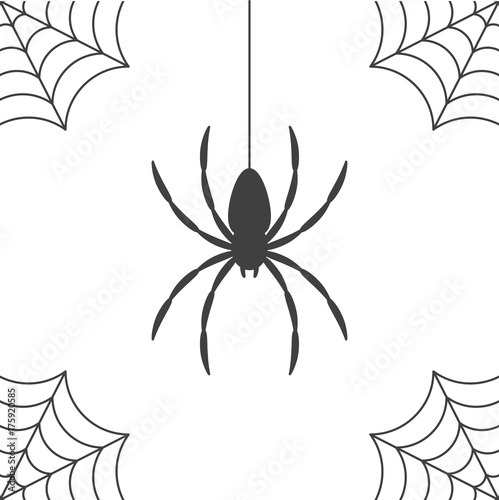 Spider web and spider silhouette, icon