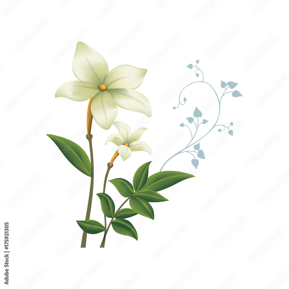 Flowers Flowers