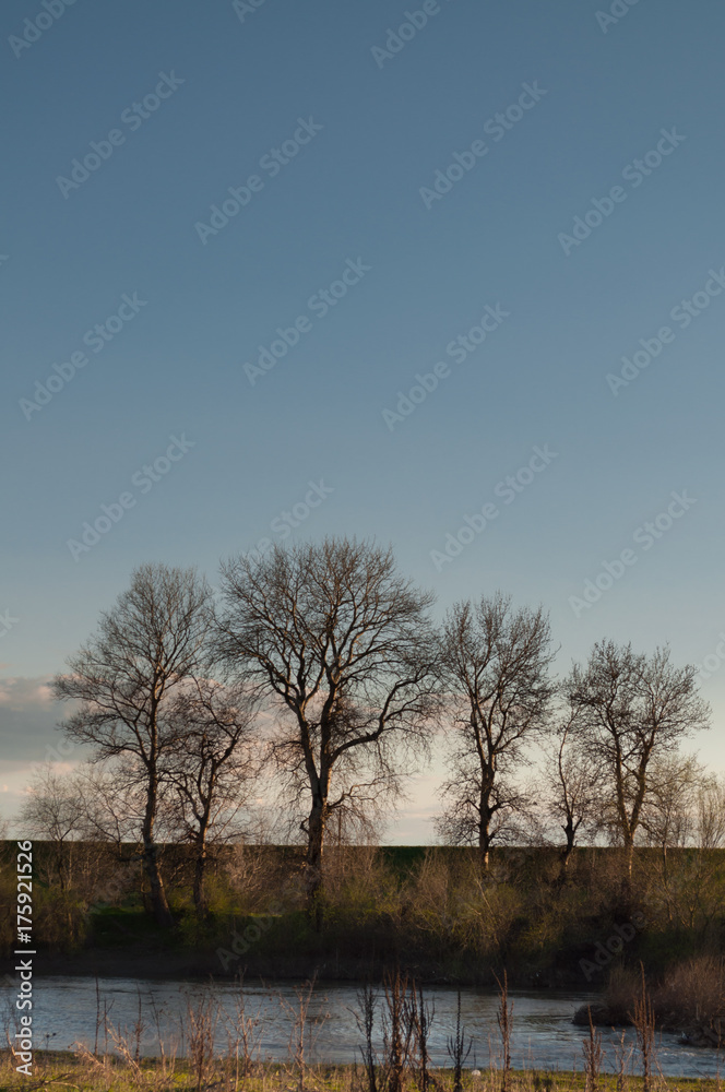 view of a lake and trees in the distance view of a lake and trees in the distance