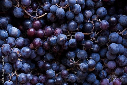 Fotografie, Obraz Black grapes