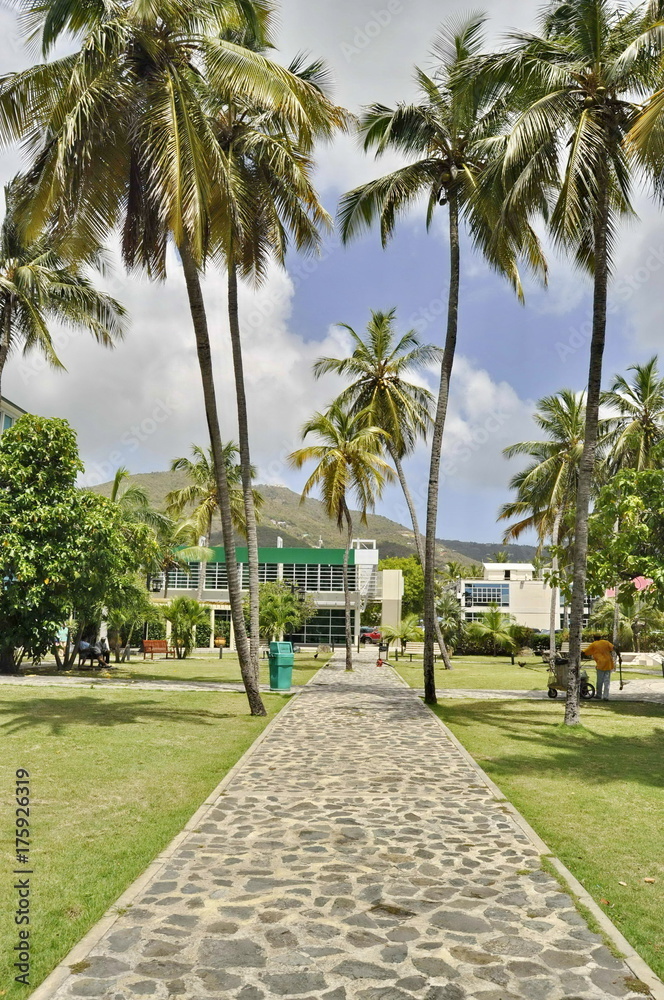 Street in Tortola, British Virgin Islands