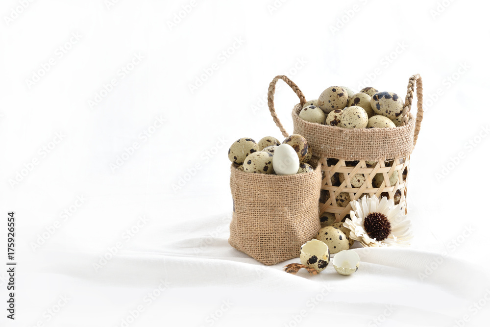 quail eggs in basket filled isolated on white background.