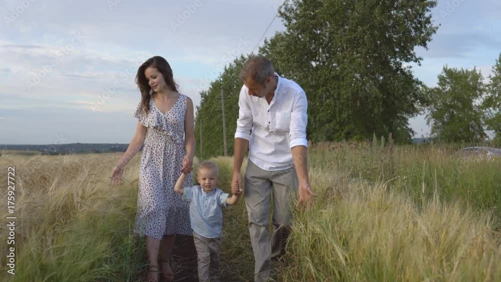 Family walking on meadow, parents playing with son Family walking on meadow, parents playing with son