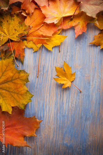 autumn leaf on blue wood background (top view)