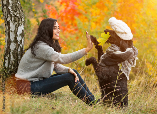 Black mutt dog posing in autumn park. photo