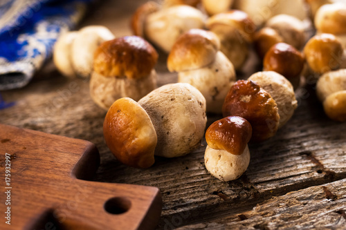 Raw porcini mushrooms