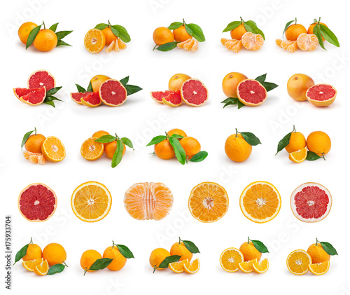 Set of citrus fruit isolated on white background. Tangerines, grapefruits and oranges