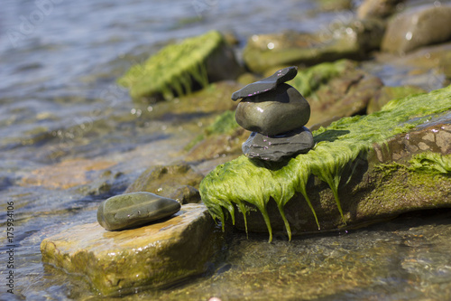 Overgrown with algae and mud stones washed by sea water. photo