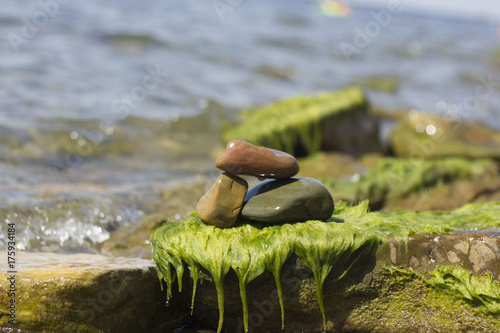 Overgrown with algae and mud stones washed by sea water. photo