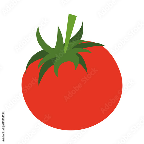 tomato fruit icon image vector illustration design 