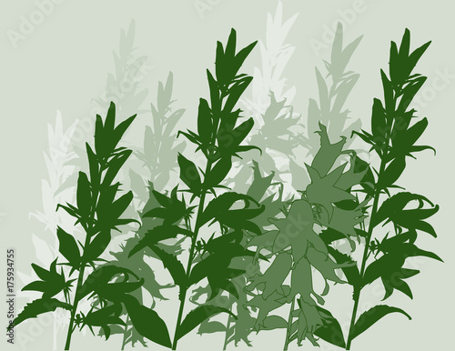 group of bluebell flowers silhouettes on green