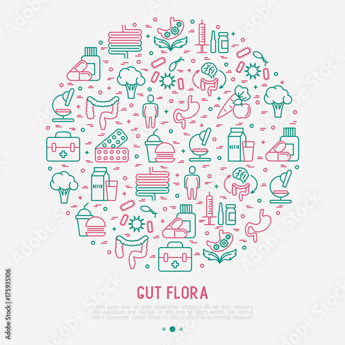 Gut flora concept in circle with thin line icons: gut, bacteria, obesity, stomach, infection, depression, medicine. Vector illustration for medical survey or report.