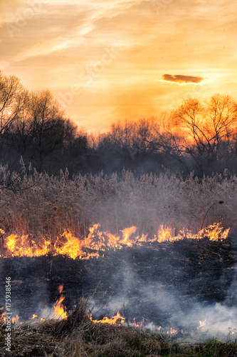 Fires sunset landscape