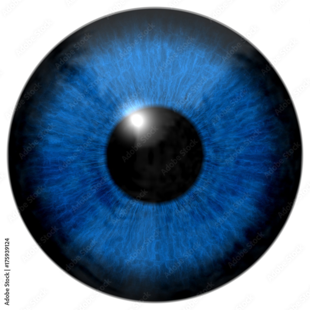Digital eye Digital eye