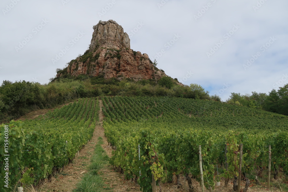 Fototapeta premium Rock of Solutré