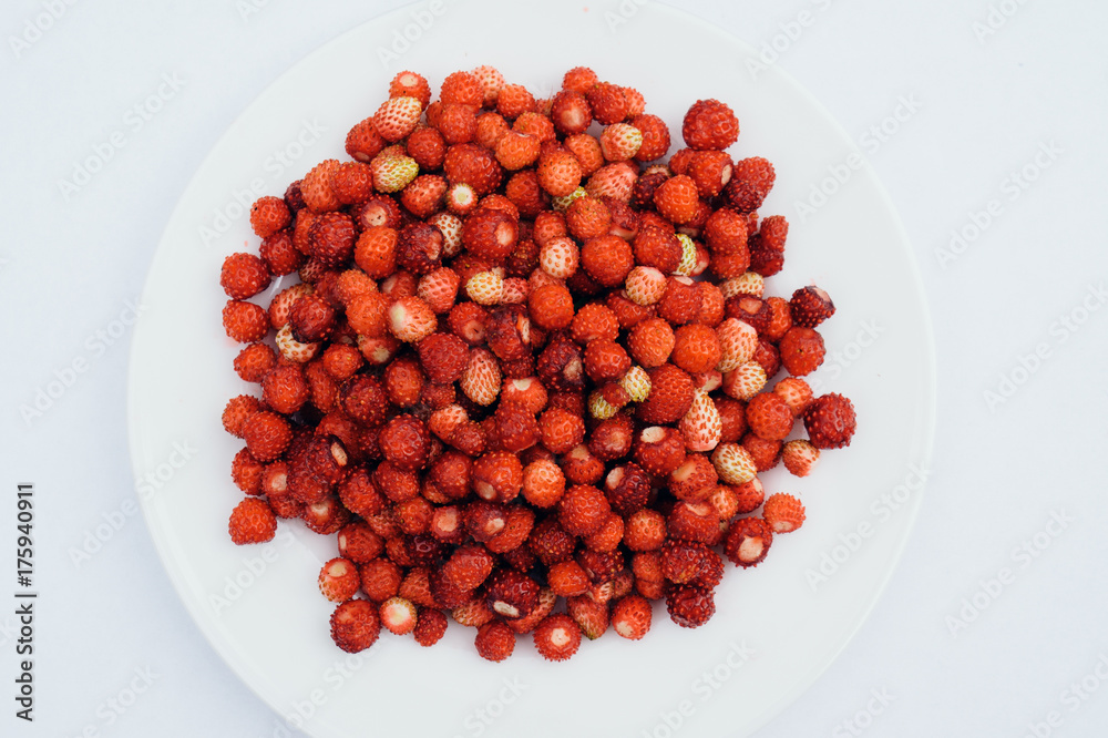 Still summer strawberries Still summer strawberries
