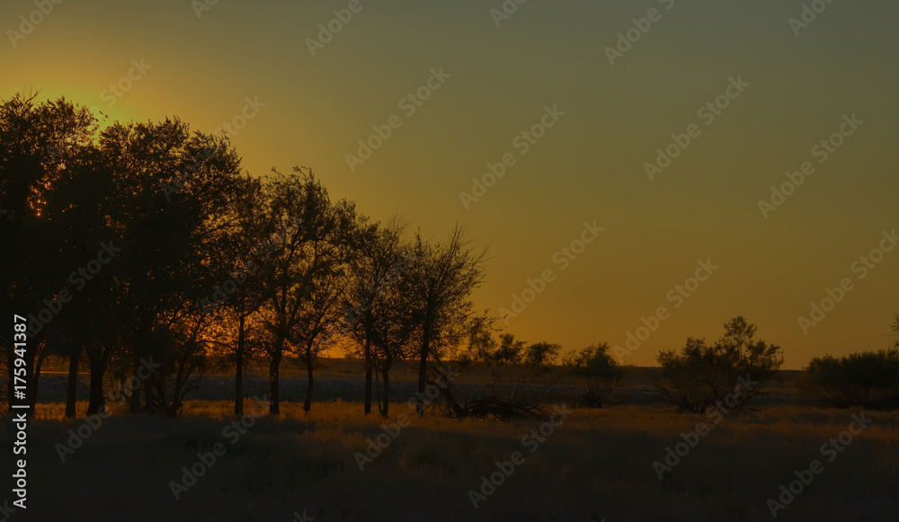 Sunset in the steppe in the Astrakhan region. Russia.